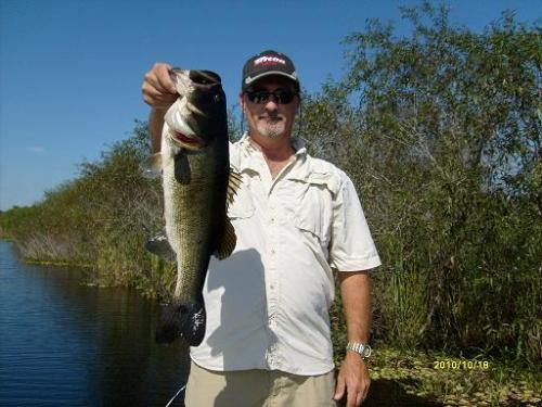 Florida Everglades Largemouth Bass
